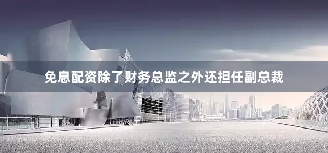 免息配资除了财务总监之外还担任副总裁