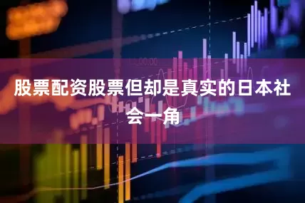 股票配资股票但却是真实的日本社会一角