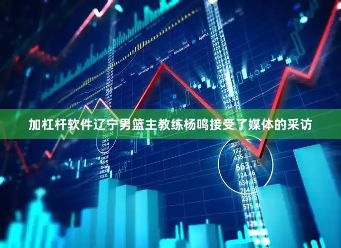 加杠杆软件辽宁男篮主教练杨鸣接受了媒体的采访